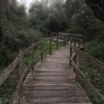 sentiero-domenica-riserva