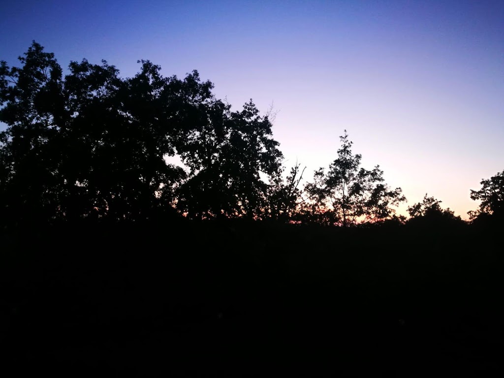tramonto-riserva-nazzano-tevere-farfa